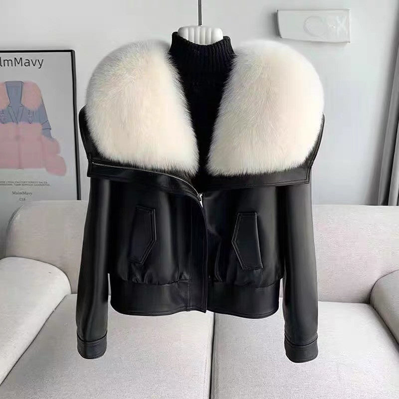 Andra Coat